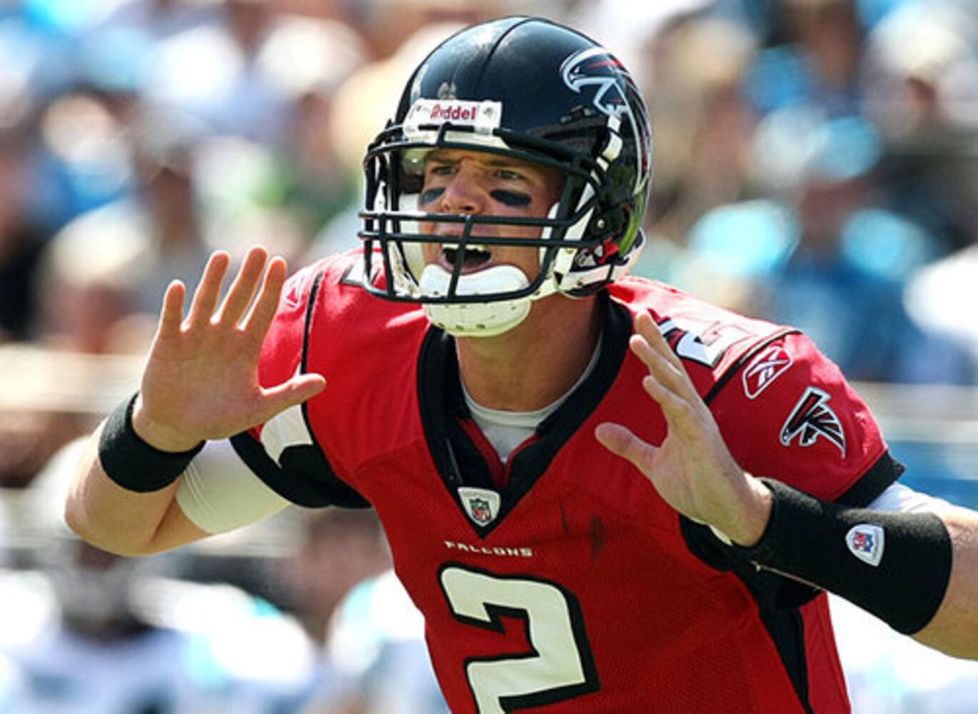 Atlanta Falcons: Fact or Fiction