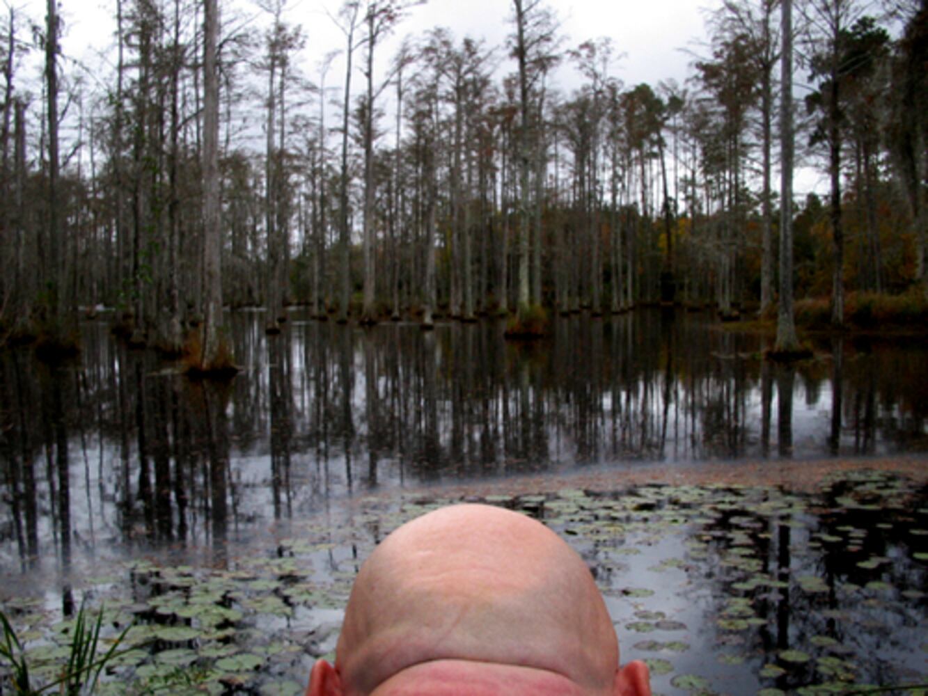 "Slow Exposures" leaves its imprint on Pike County
