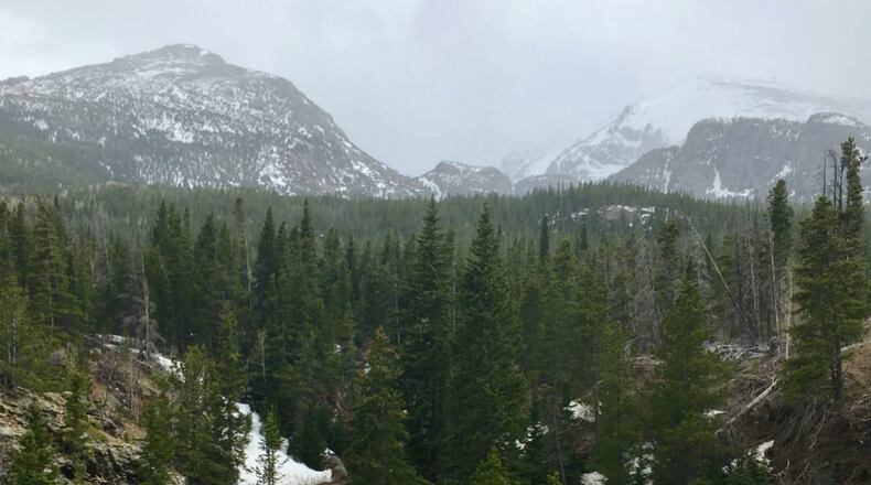 Snow blanketed areas west of Denver, where some cities saw more than 2 feet of snow, according to the National Weather Service. (Photo: Jared Leone)