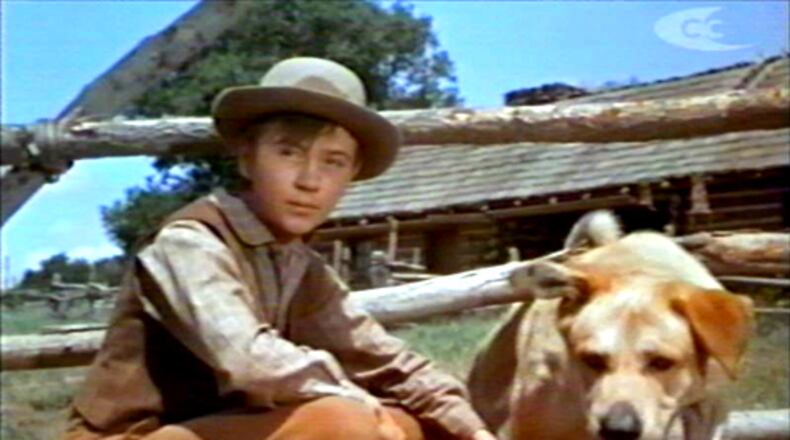 Tommy Kirk, a child star who played in Disney films such as “Old Yeller” and “The Shaggy Dog,” has died. He was 79.