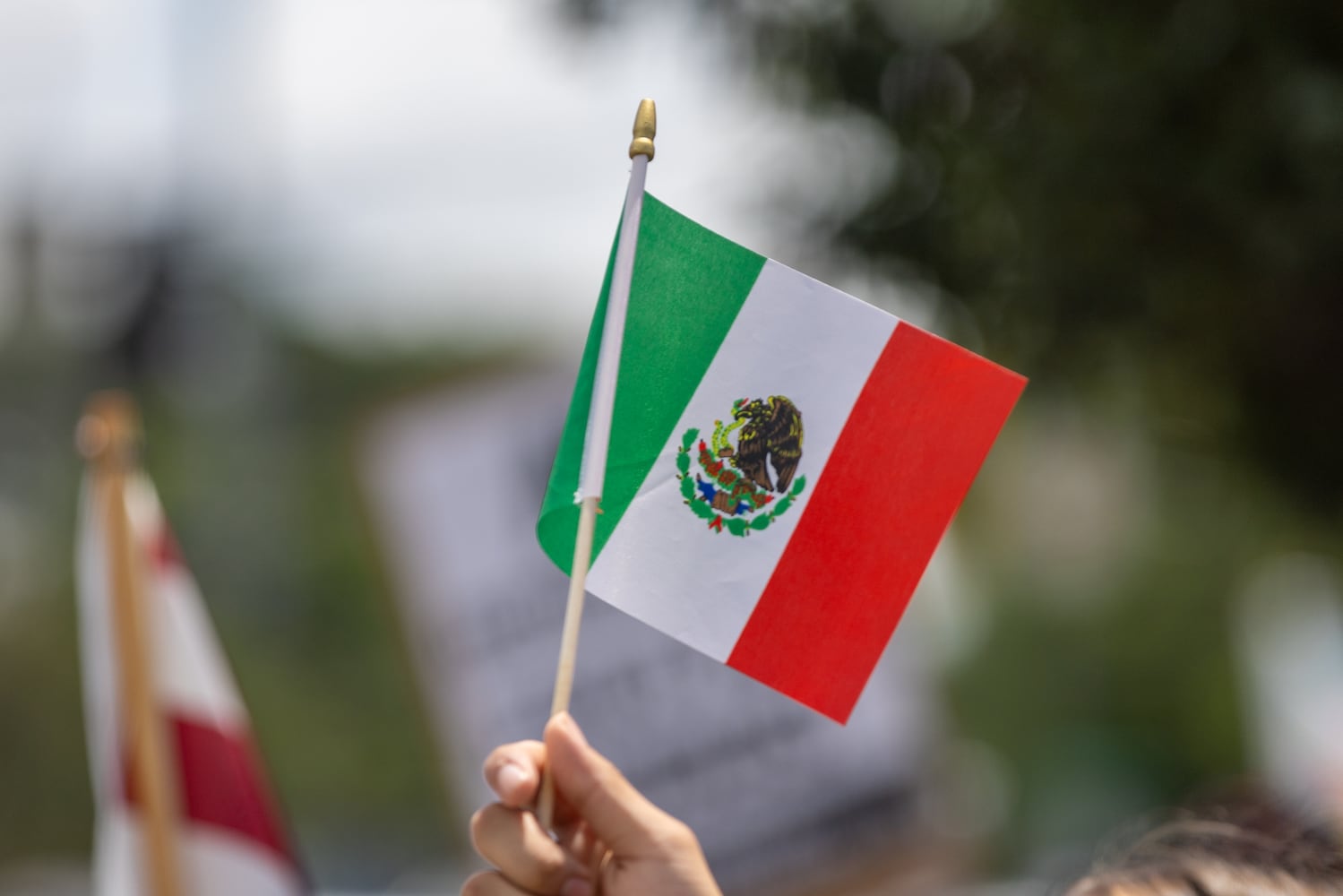 A demonstrator waves a Mexican flag in a protest on ICE raids and deportation arrests on Chamblee-Tucker Road in Atlanta on Saturday, June 14, 2025. (Arvin Temkar / AJC)