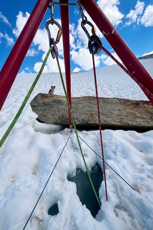 In this photo provided by Air Zermatt, a rescue, training and transport company, a Chihuahua dog sits on a stone near the the hole in snow, in Zermatt, Switzerland, Friday, July 4, 2025. (AIR ZERMATT/Keystone via AP)
