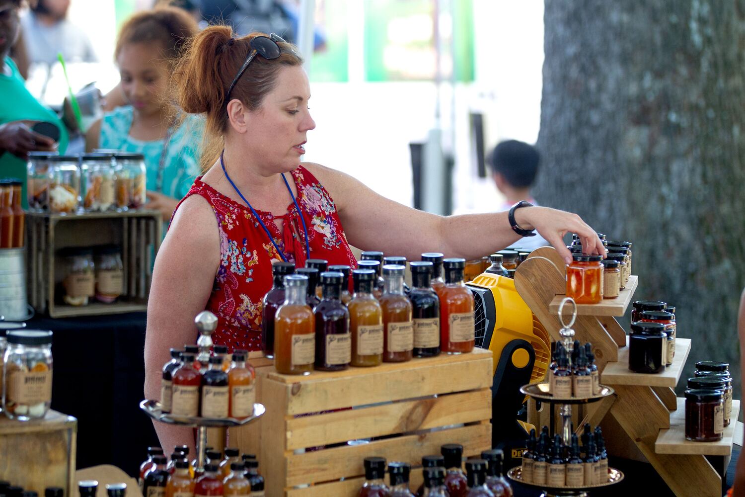 Duluth Arts Festival