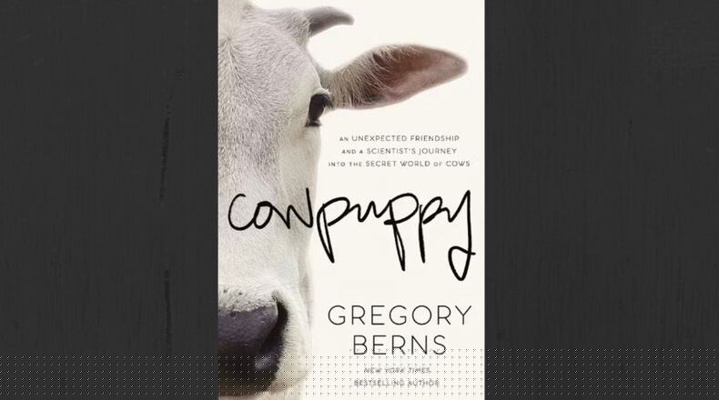 "Cowpuppy" by Gregory Berns. (Courtesy of Harper Horizon)