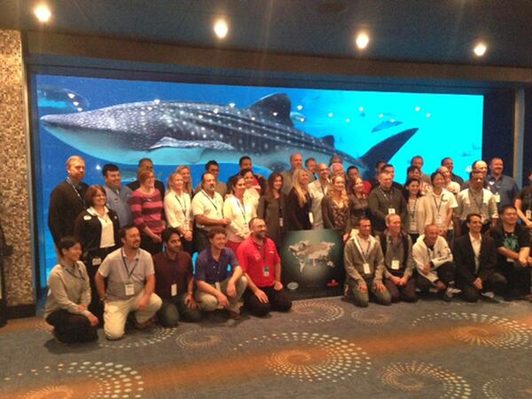 Delegates to the 3rd International Whale Shark Conference in 2013 pose for a group photo in the Georgia Aquarium’s Oceans Ballroom as one of the fish tank’s whale sharks swims by. Some 75 scientists and conservation officials from 20 counties attended the conference, which was aimed at expanding understanding of the big sharks in the wild. Credit: Jim Tharpe jtharpe@ajc.com