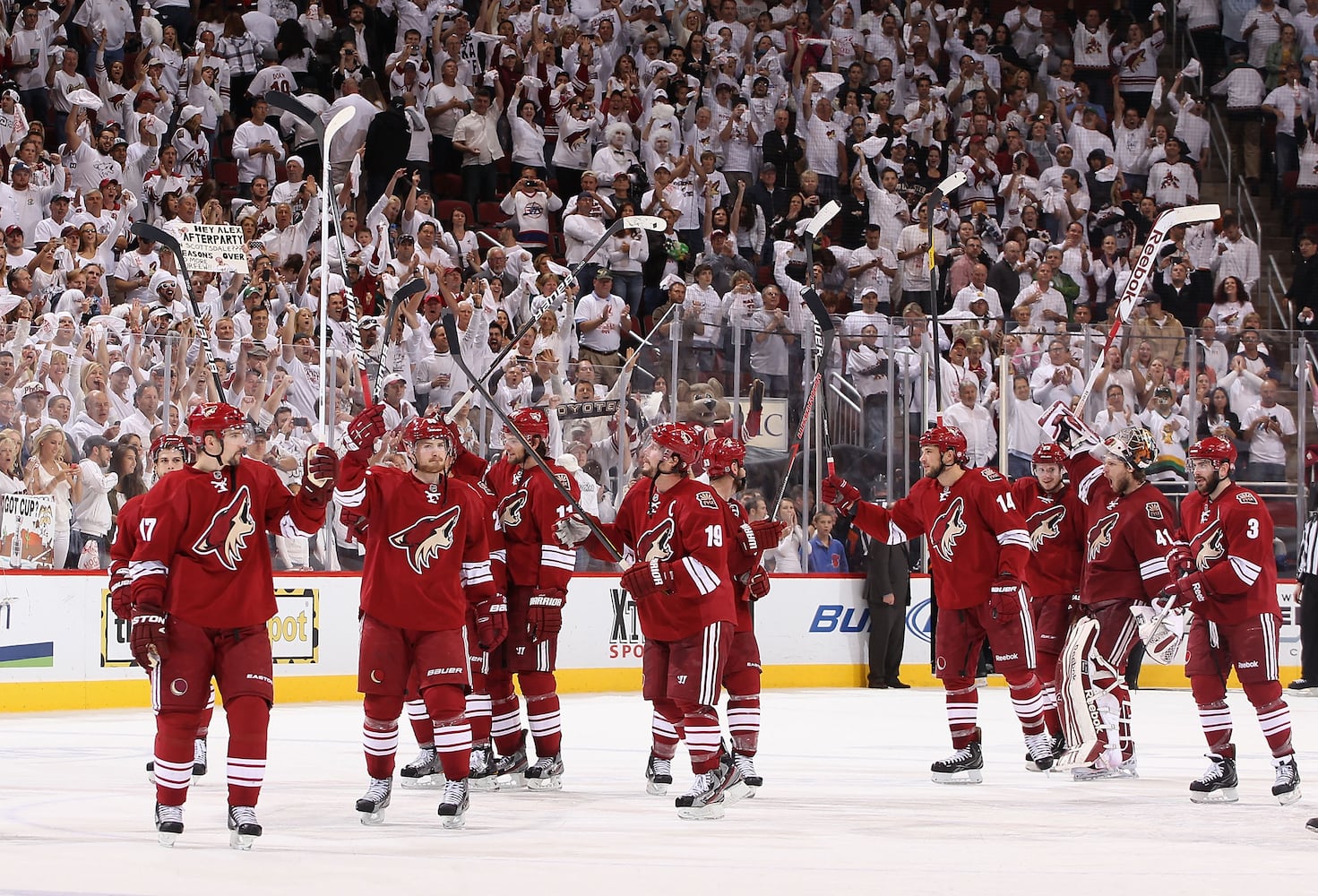 Phoenix Coyotes