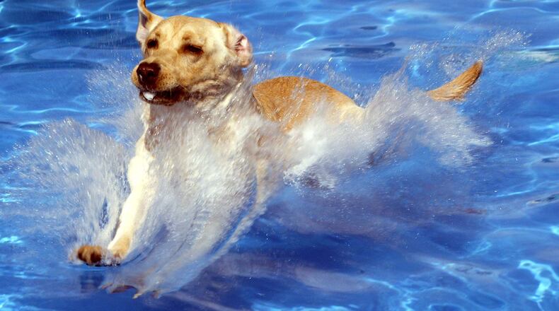 Don't miss this year's Splish Splash Doggie Bash at Piedmont Park on Oct. 1-2.