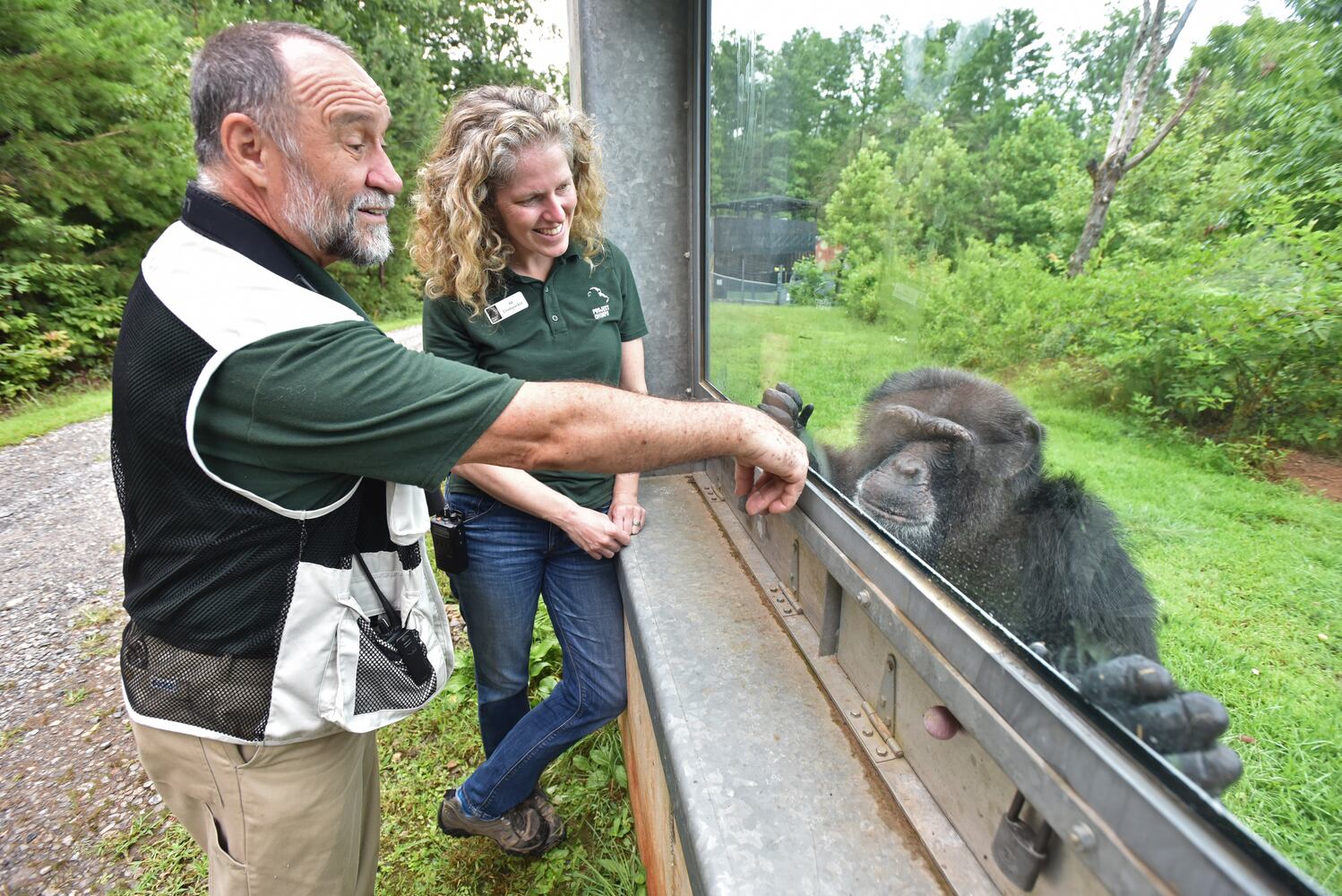Project Chimps offers new life for research animals