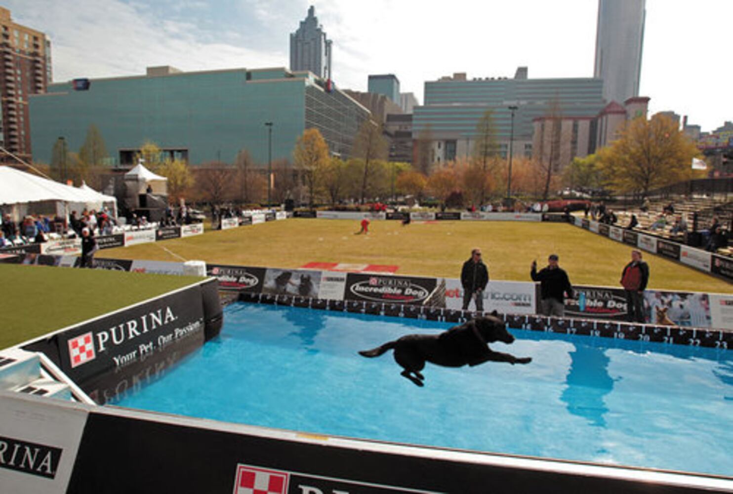 Purina Incredible Dog Challenge