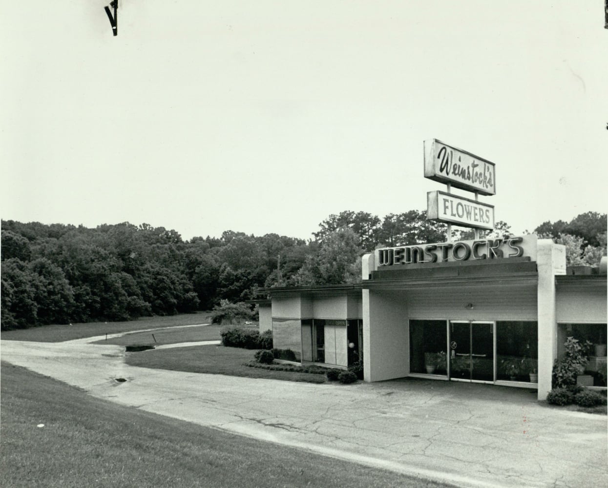 Roswell Road
