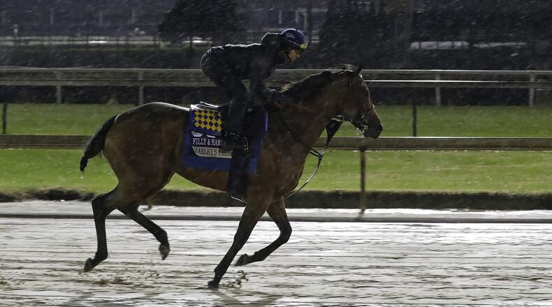 Exercise rider Jose Contreras rides Marley’s Freedom during morning workouts for the Breeders Cup horse races at Churchill Downs in Louisville, Ky. (AP Photo/Darron Cummings)