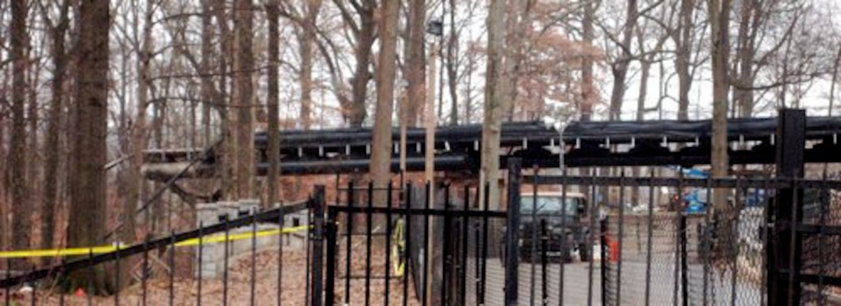 Atlanta Botanical Garden accident