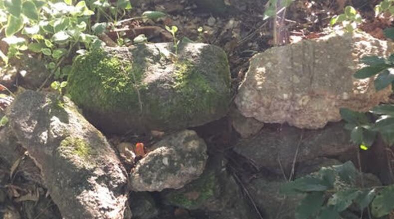 Patrick Edmonson has been waiting years for his sidewalk to be fixed.