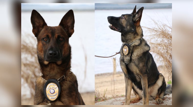 K-9s Lord (left) and Oso