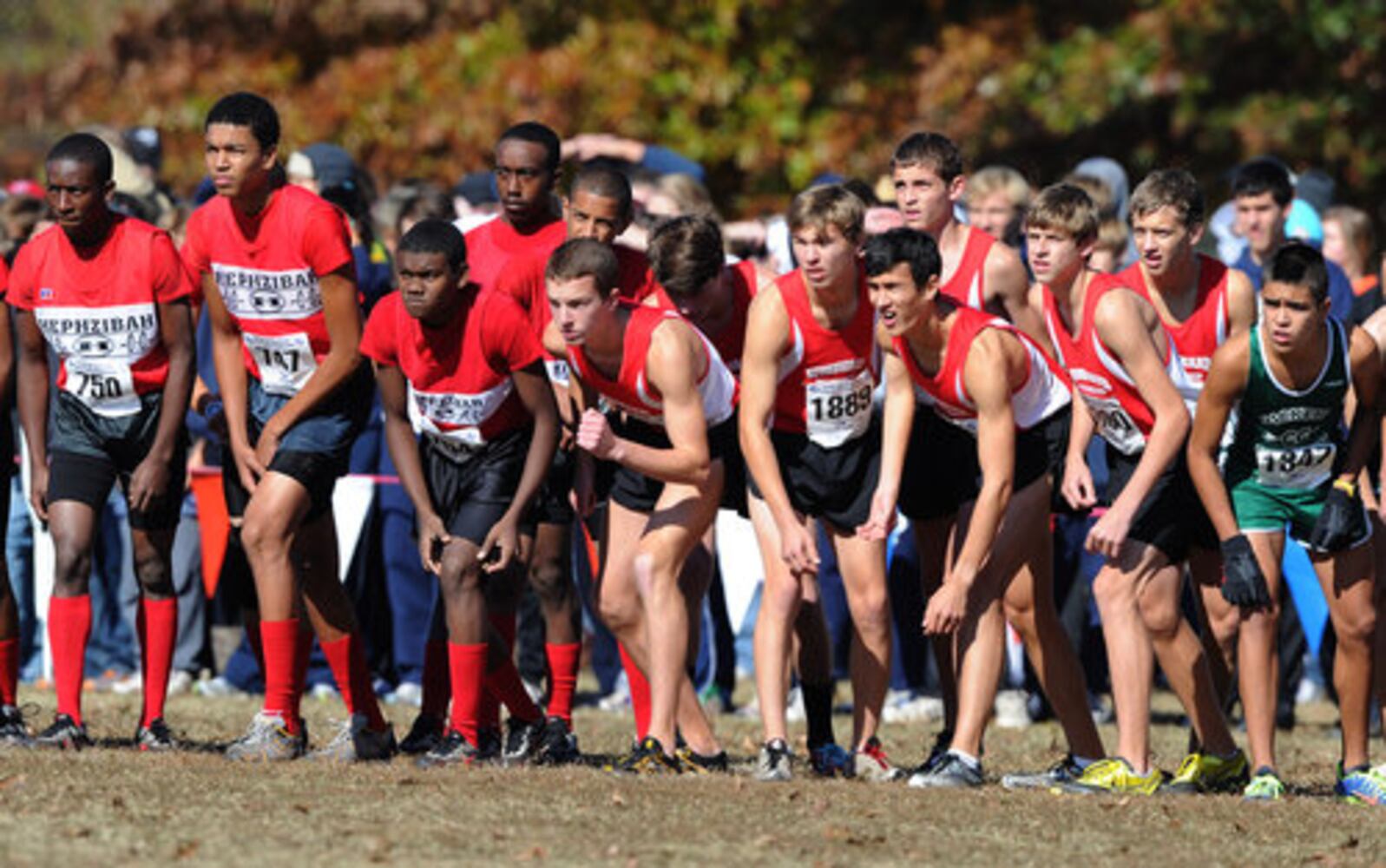 Georgia state championship meet for cross country