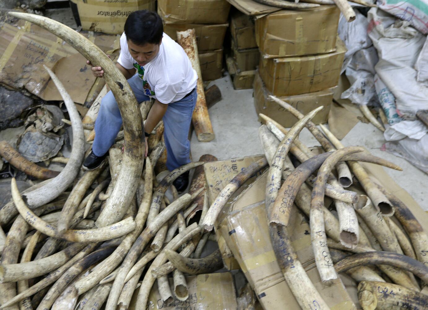 Ivory (including jewelry made from ivory)
