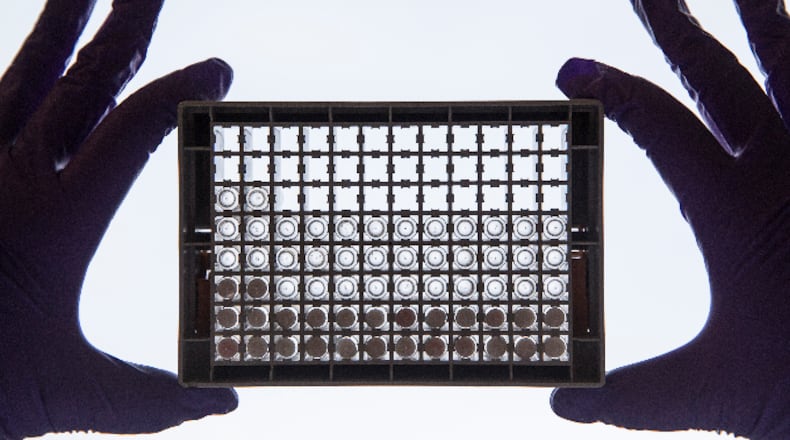 A scientist examining cells in a 96-well plate, which allows scientists to look at lots of cells at the same time and directly compare cells that have or have not been treated with a drug.