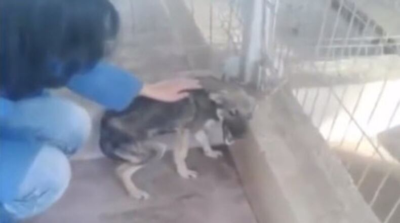 Photo credit: YouTube