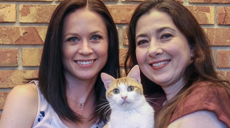 In 2018, two women started Purr Nation Cat Alliance to create a place where cats could receive medical attention and live in a foster or forever home.
