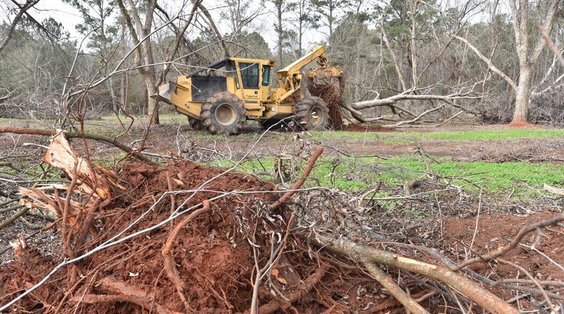 A worker cleans up pecan trees damaged by Hurricane Michael at Pippin Farm in Albany on Feb. 5, 2019. HYOSUB SHIN / HSHIN@AJC.COM