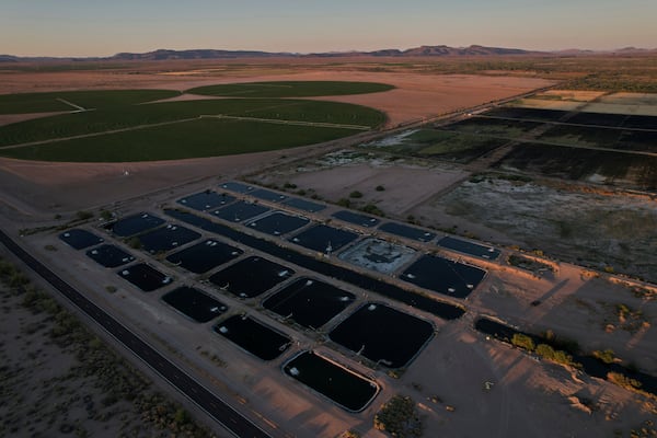 Artificial ponds for farmed fish operate near crop fields Saturday, April 19, 2025, at a Mainstream USA fish farm in Dateland, Ariz. (AP Photo/Joshua A. Bickel)