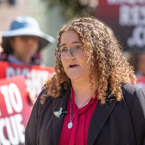 Animal rights activist Zoe Rosenberg talks to reporters outside the Sonoma County Superior Courthouse before her preliminary hearing May 3, 2024, in Santa Rosa, Calif. (Chad Surmick/The Press Democrat via AP)