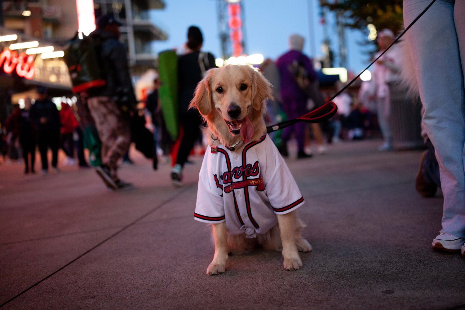 Atlanta Braves Watch Party