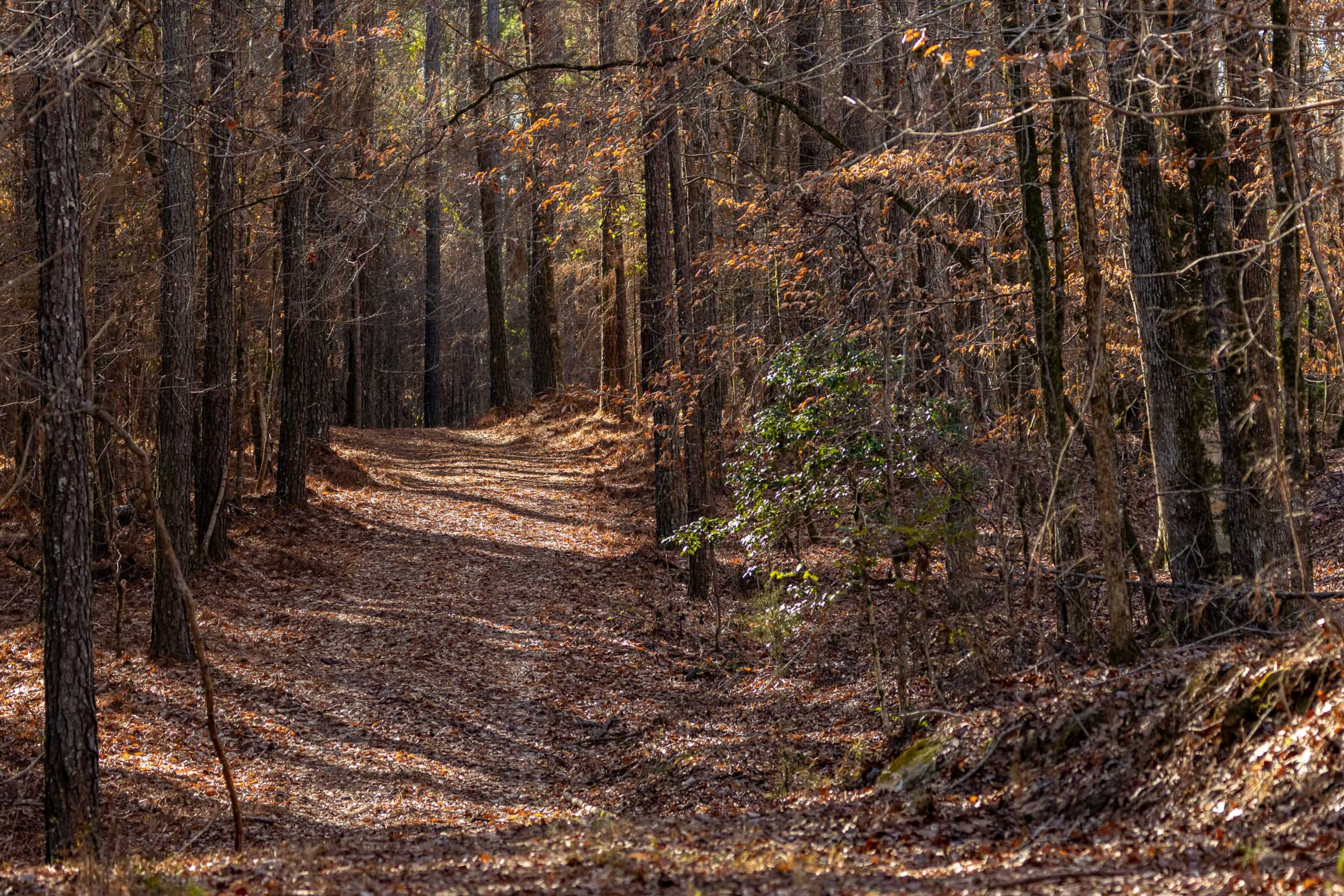 Former Southern Co. CEO Allen Franklin listed his 850-acre property and mansion near LaGrange for sale for $5.5 million. Photo courtesy of Oakwood Realty Group/David Cannon Photography.