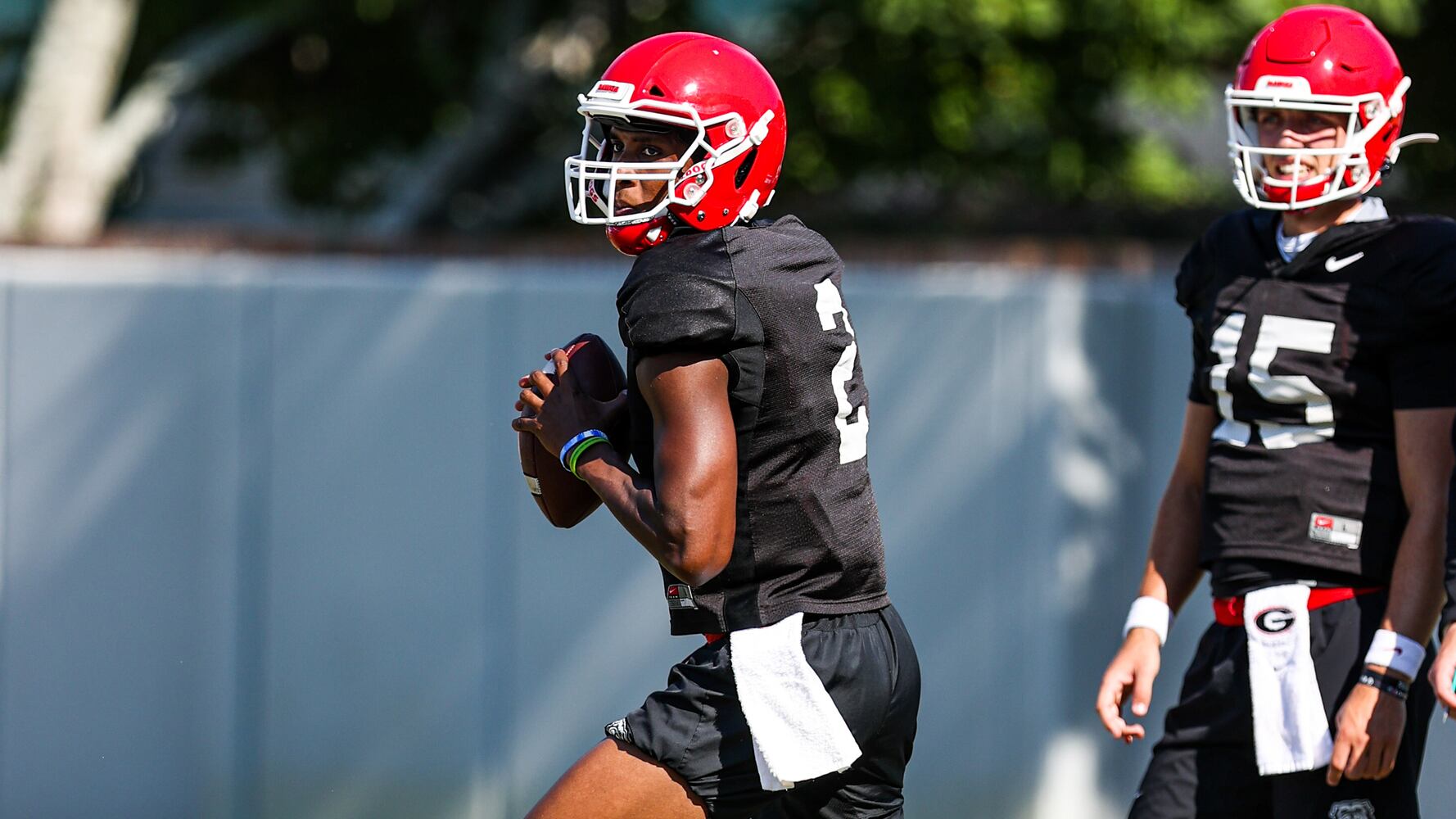 Georgia Bulldogs