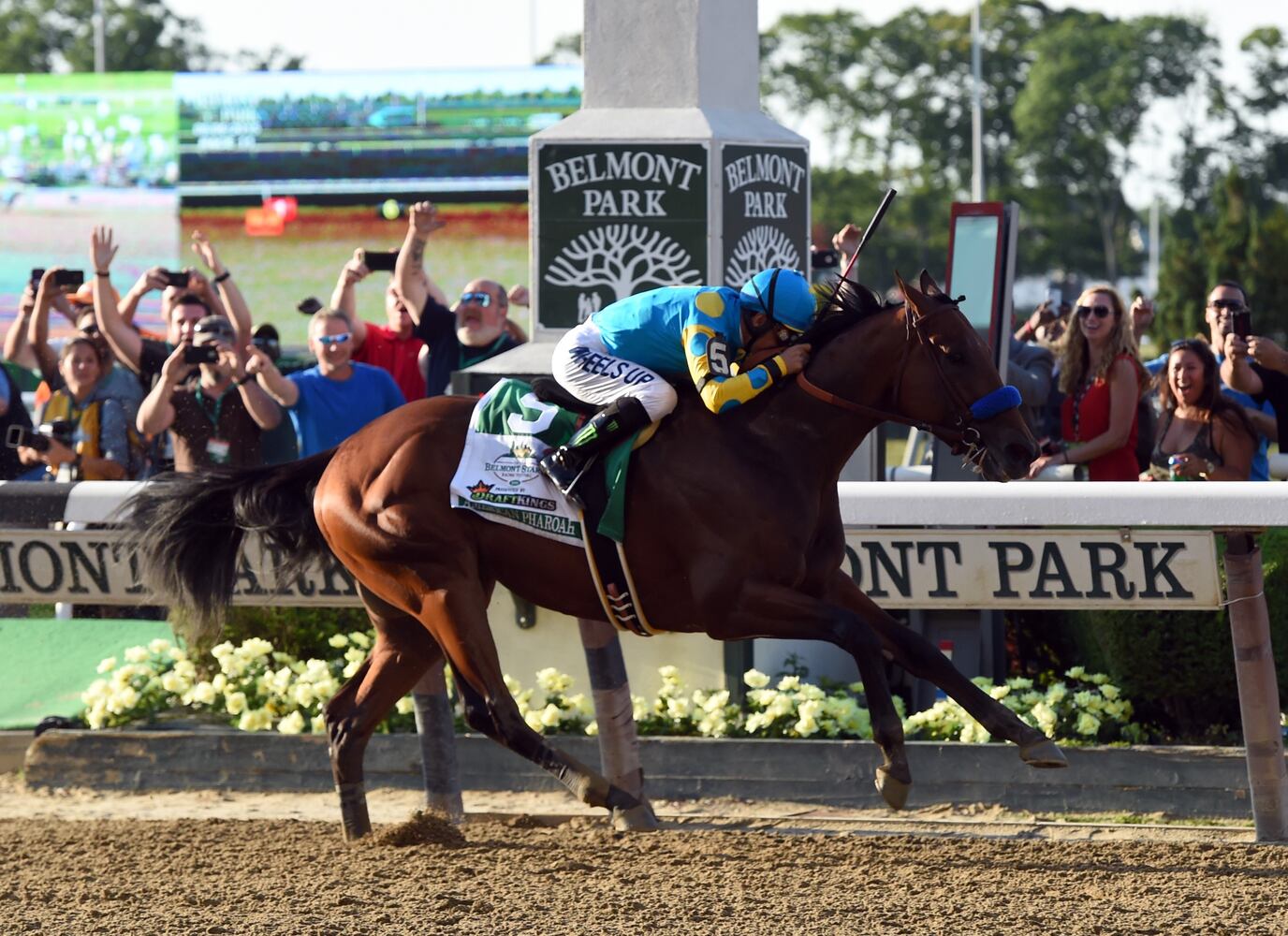 American Pharoah wins Triple Crown