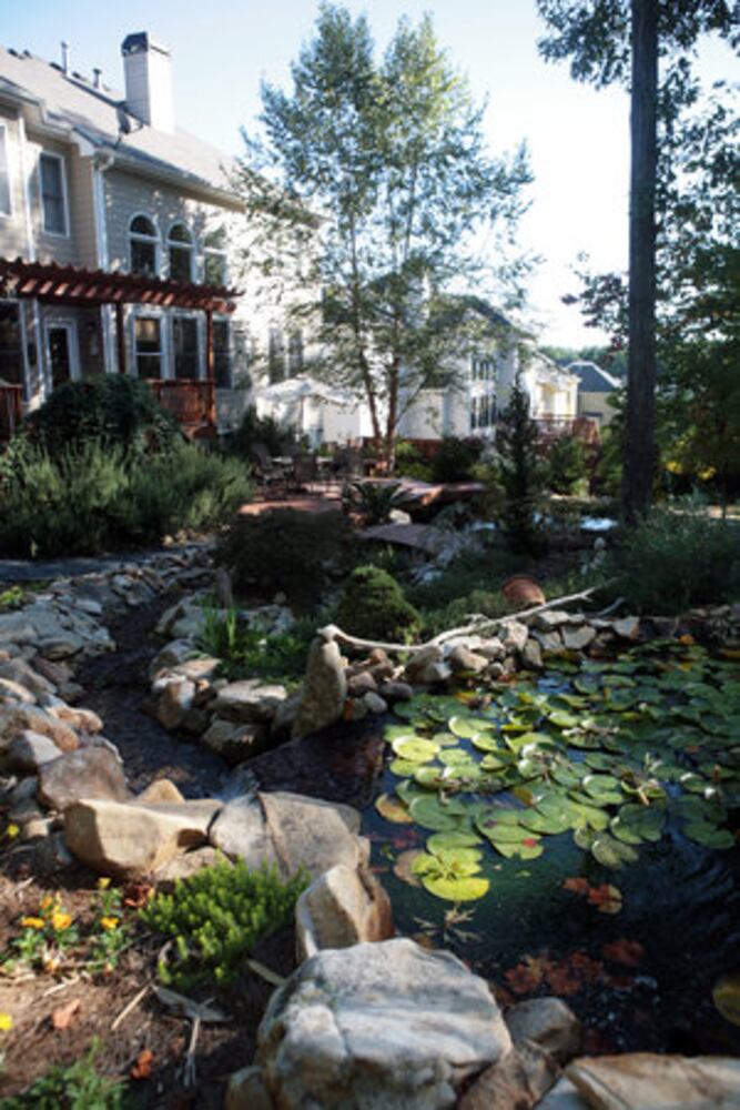 Amazing Space: Zen and the art of landscaping