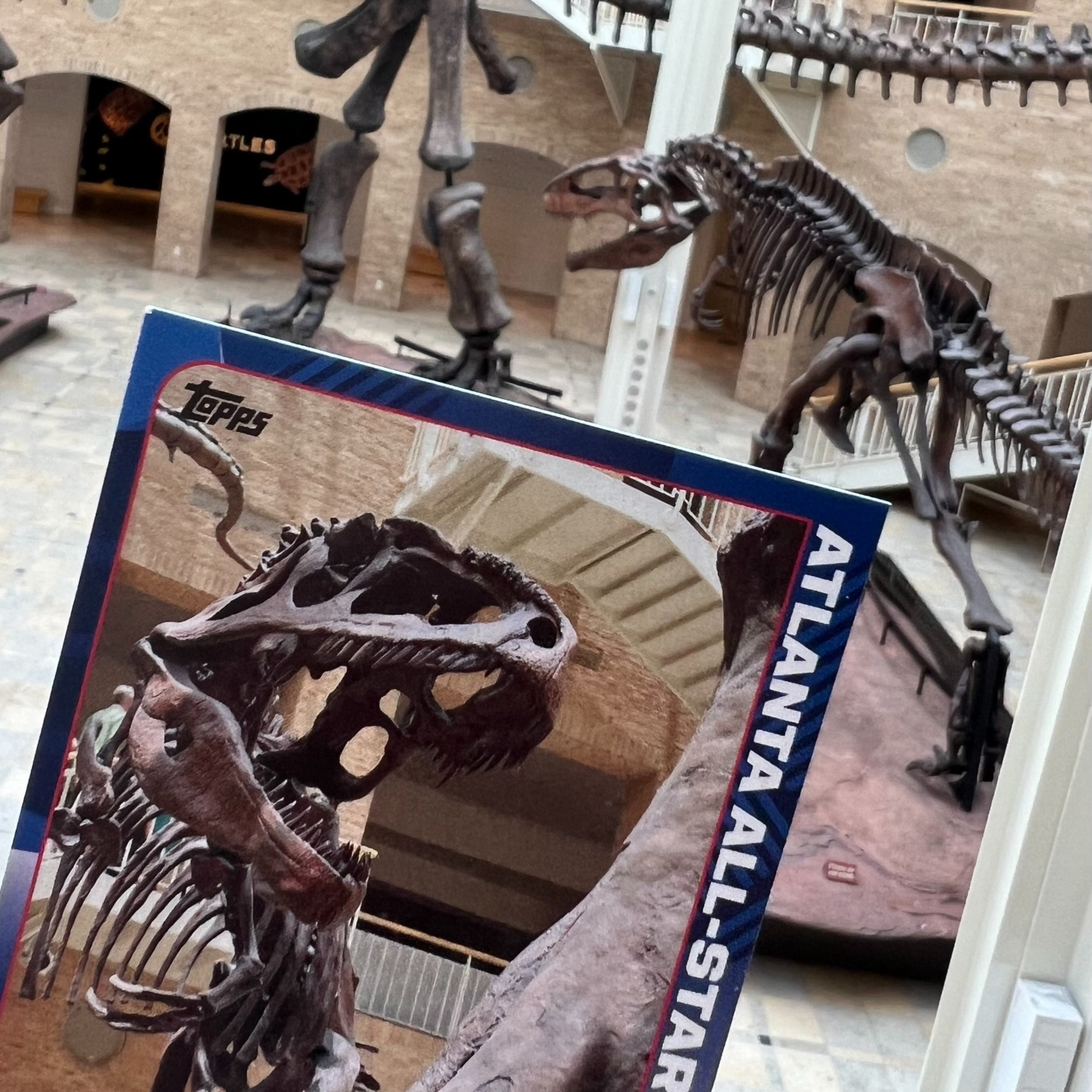 Fernbank’s new after-hours series, “Fernbank … but LATER,” debuts Friday with sports-related activities and MLB Atlanta All-Star Cards that feature the museum’s dinosaurs.