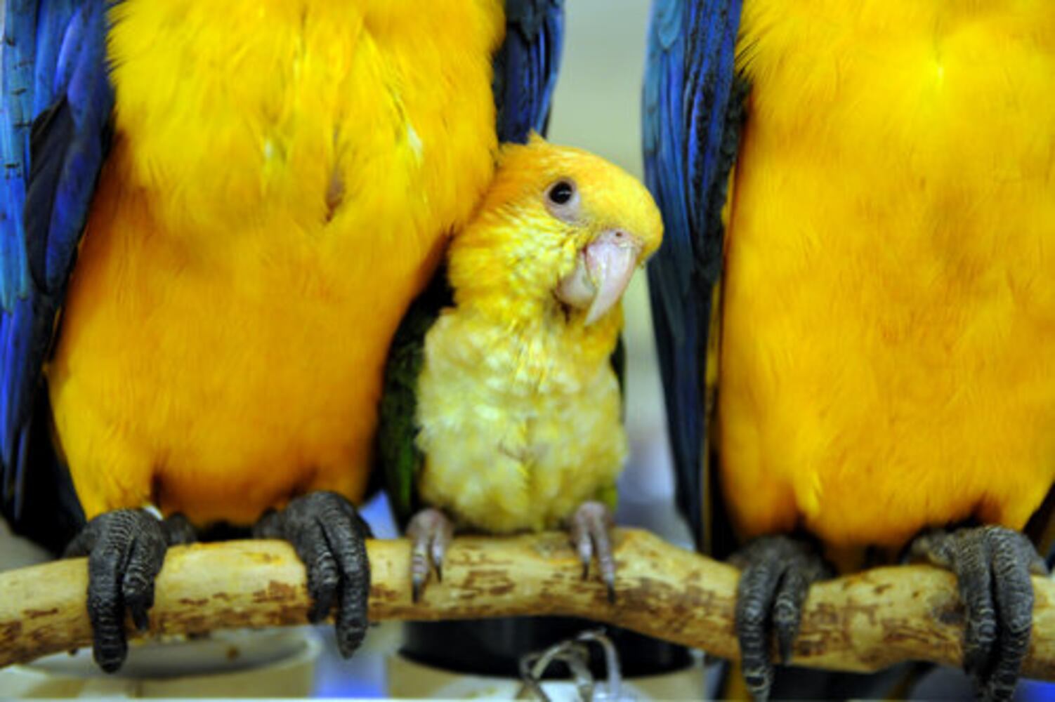 July 14, 2008: Today in Pictures