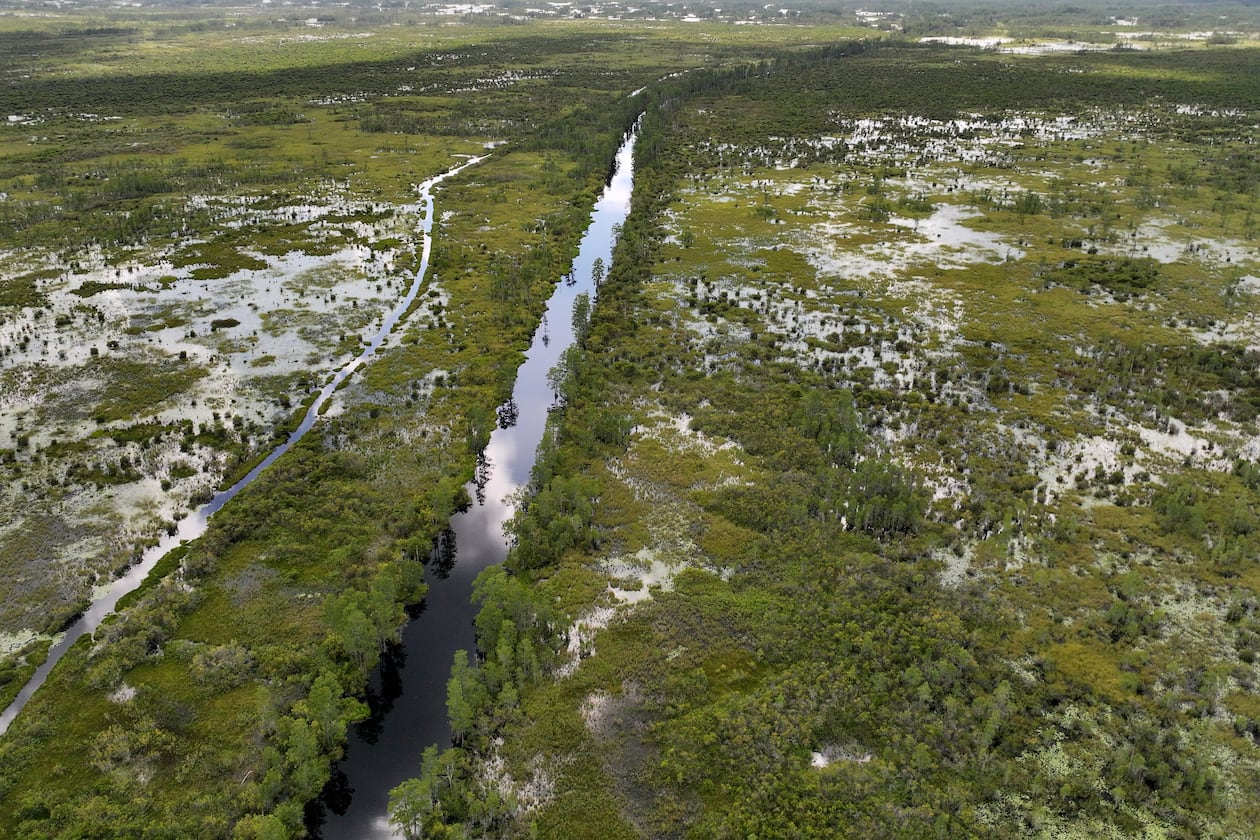 An aerial photo shows the Okefenokee Swamp on Tuesday, August 12, 2025. (Hyosub Shin/AJC)