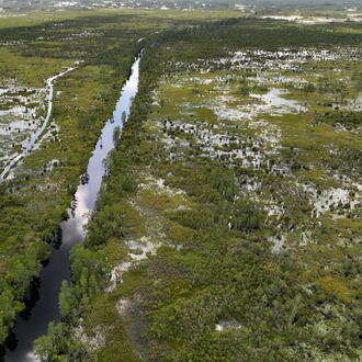 An aerial photo shows the Okefenokee Swamp on Tuesday, August 12, 2025. (Hyosub Shin/AJC)