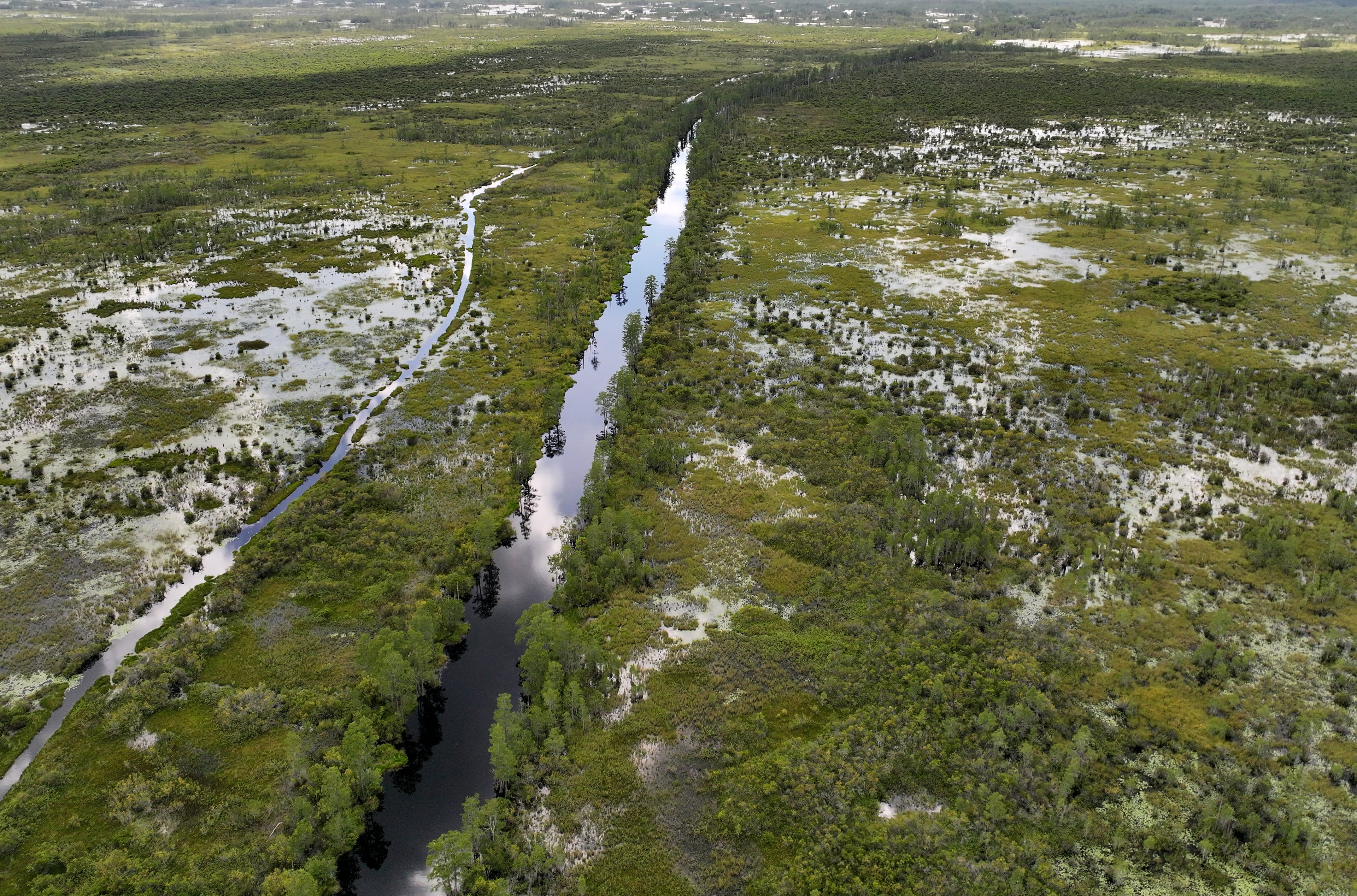 The size of the Okefenokee Swamp might help decide if it qualifies for World Heritage status. (Hyosub Shin/AJC)