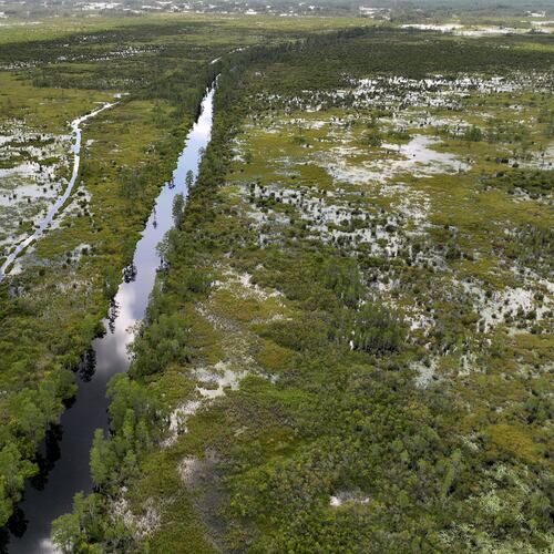 An aerial photo shows the Okefenokee Swamp on Tuesday, August 12, 2025. (Hyosub Shin/AJC)
