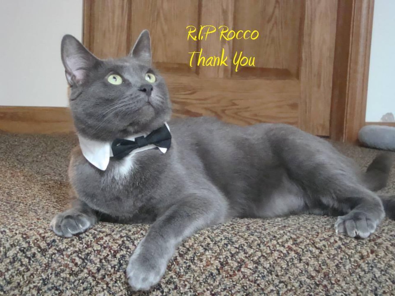 RIP Rocco