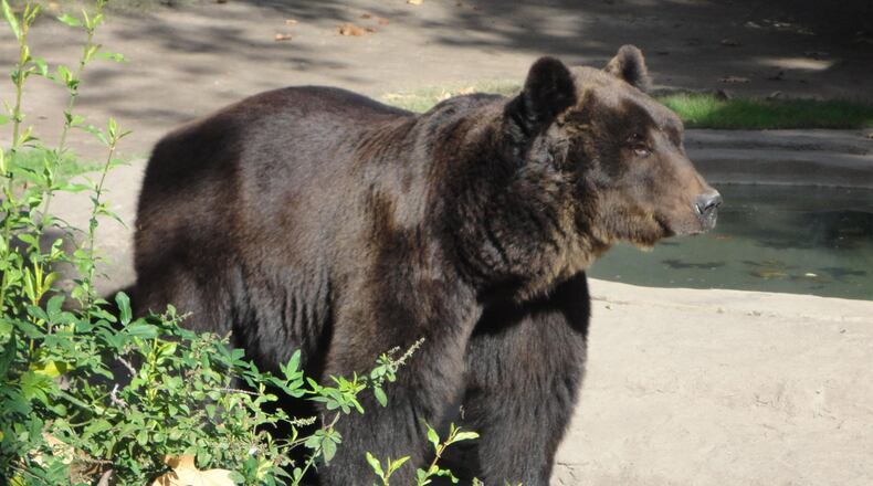 FILE PHOTO (gabbytaffner/Morguefile license: https://morguefile.com/license)