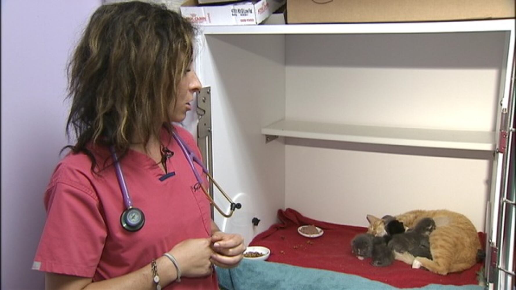 IMAGES: Kittens found in trash bag