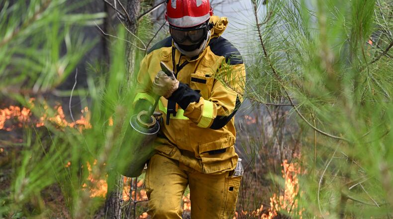 A firefighter creates a controlled burn to contain a fire area near Lege-Cap-Ferret, during wildfires in southwestern France, Thursday, July 30, 2026. (AP Photo/Emma Da Silva)
