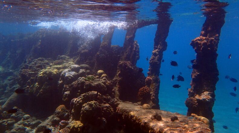 Like a giant, rusting skeleton, the remains of Bonegi 2 provided a fun but eerie setting for snorkeling. DOUG HANSEN/SAN DIEGO UNION-TRIBUNE