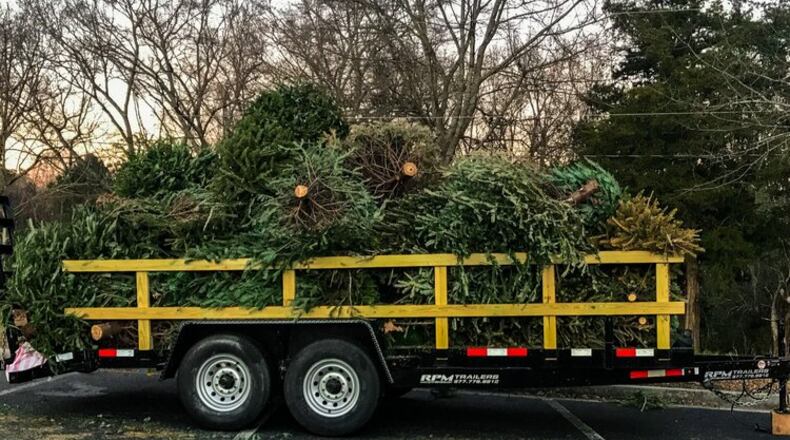 Across Georgia, Christmas trees can be recycled on Jan. 7 for use as mulch. Check kgbf.org to find drop-off locations by Keep Georgia Beautiful. (Courtesy of Keep Georgia Beautiful Foundation)