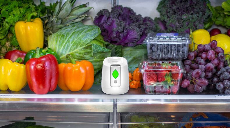 Keep produce fresh longer with an air purifier specifically for the refrigerator.
Courtesy of GreenTech Environmental