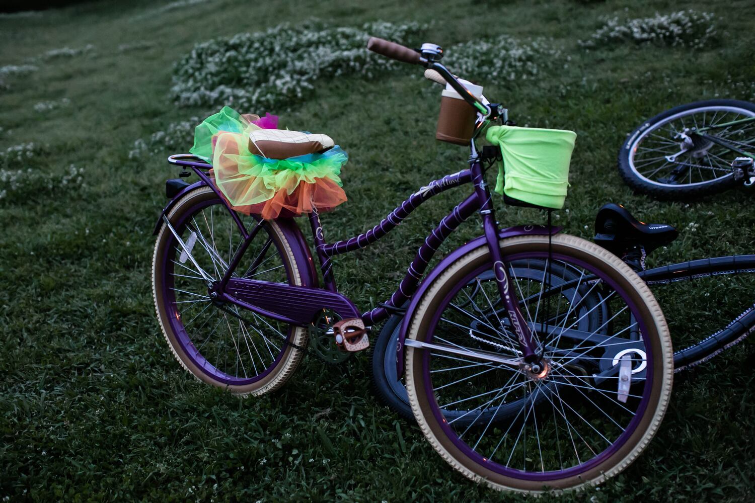 Atlanta Moon Ride to support Bert's Big Adventure