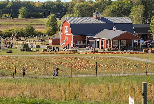 Visitors pick pumpkins at Wickham Farms near Rochester, New York. (Photo Courtesy of Jerome Davis and Visit Rochester)