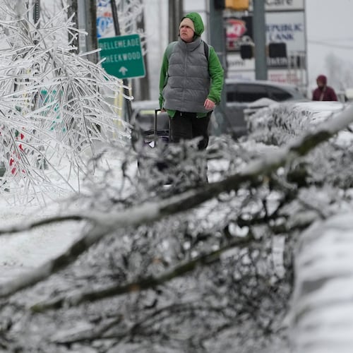 A person walks past ice covered trees and a fallen limb during a winter storm Sunday, Jan. 25, 2026, in Nashville, Tenn. (AP Photo/George Walker IV)