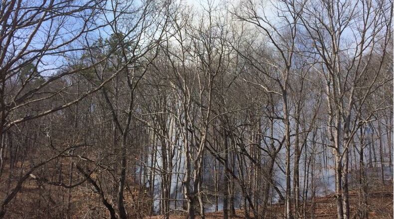 A cigar started a fire in Hall County on Sunday (Credit: Hall County Fire Services)