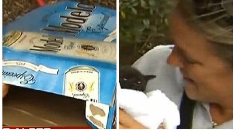 Photo credit: YouTube