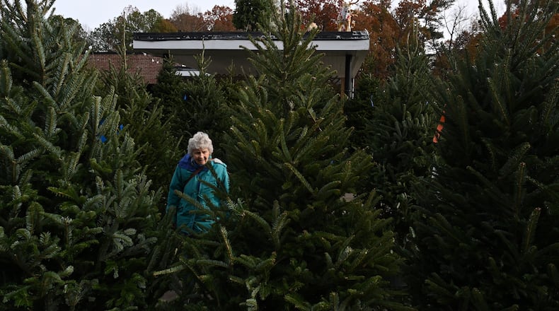 Lee Culpepper chooses her Christmas tree at Tradition Trees in Chamblee.